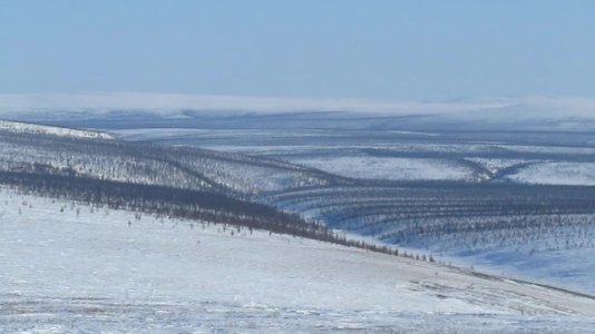 russian tundra.jpg