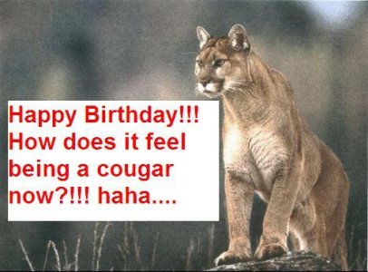 Cougar-1.jpg