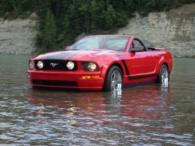 2005 Mustang 085.jpg