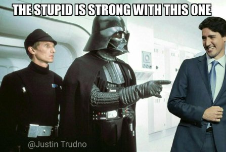 stupid is strong.jpg