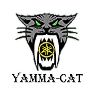 1583774815751_yamma-cat.jpg