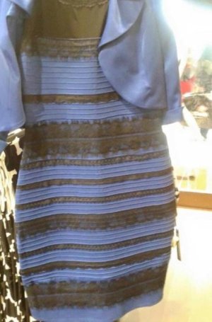 the-internet-is-freaking-out-over-the-color-of-this-dress-4.jpg