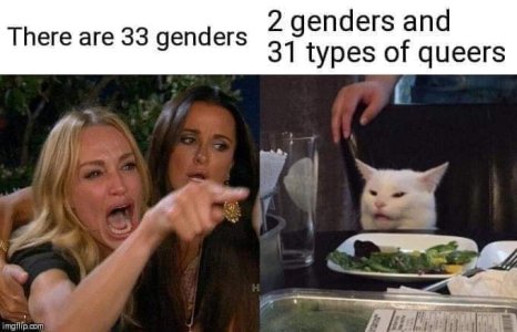 33 genders.jpg