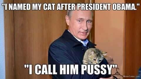 cat called pussy.jpg