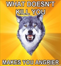 208x228_Courage-Wolf-WHAT-DOESNT-KILL-YOU-MAKES-YOU-ANGRIER.jpg