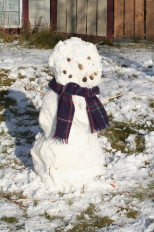 Nathan's first snowman 009.jpg