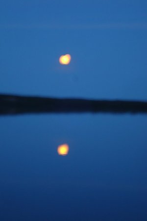 Moon Reflection 2.jpg