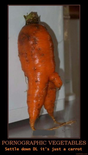 carrot[1].jpg