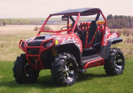 Rzr flames on 001small.jpg