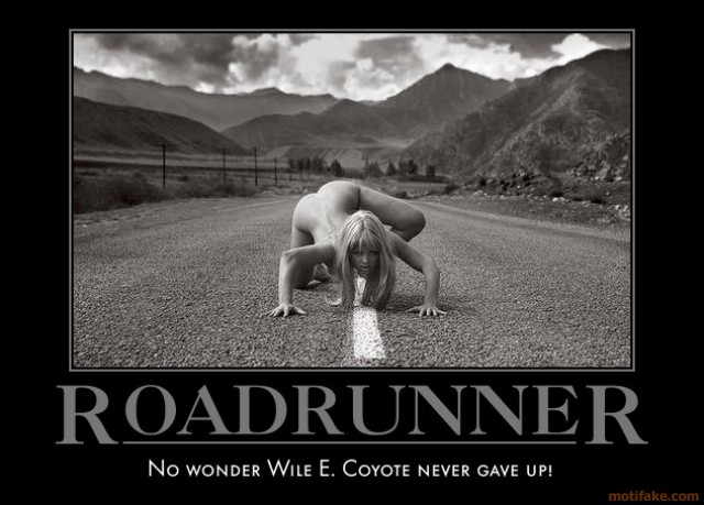 700798386-roadrunner-no-wonder-wile-e-coyote-never-gave-up-acme-demotivational-poster-1266615254.jpg