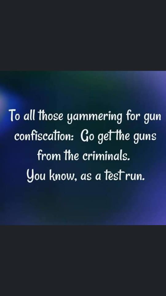 gun control.jpg