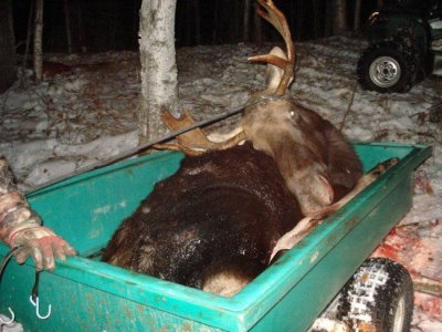 Moose hunt pics 003.jpg