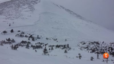avalanche area.jpg