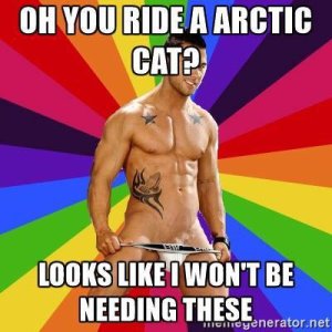 arctic cat.jpg