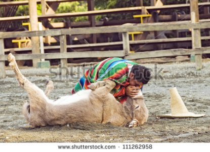 stock-photo-quimbaya-colombia-august-cowboy-performing-cardiopulmonary-resuscitation-cpr-to-a-do.jpg