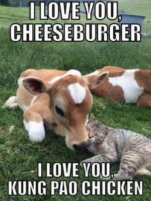 love you cheeseburger.jpg