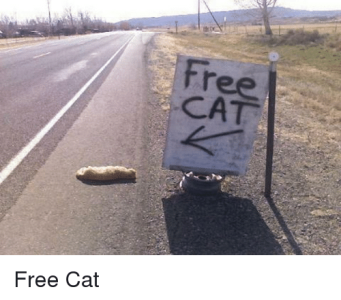馓-fr-ree-cat-free-cat-3467136.png