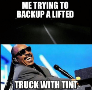 me-trying-to-backup-a-lifted-truck-with-tint-4161443.png