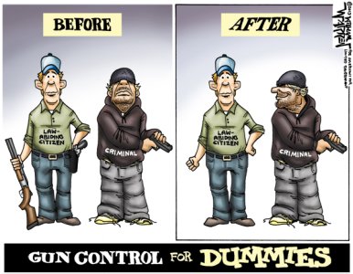 Cartoon-Gun-Control-for-Dummies_zpszfcplare.jpg