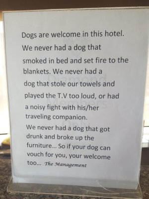 dog-friendly-hotel.jpg