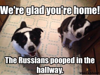 russians poop.jpg