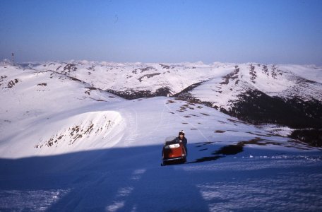 Morfee sledding 007.jpg