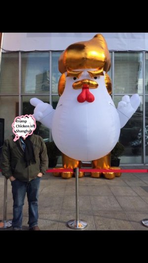 Trump Chicken.jpg