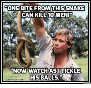 one-bite-from-this-snake-can-kill-10-men-now-6643717.png