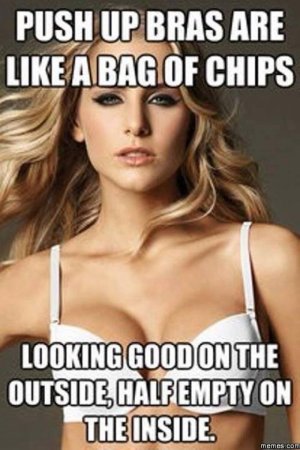 Girl-meme---Push-up-bras-are-like-a-bag-of-chips.jpg