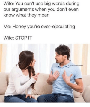 wife-you-cant-use-big-words-during-our-arguments-when-30973847.png