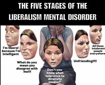 liberal mental disorder.jpg