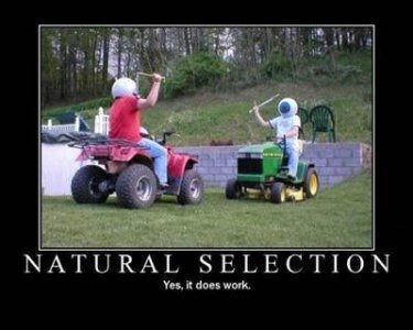 natural selection.jpg