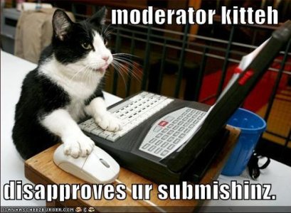 moderator kitty.jpg