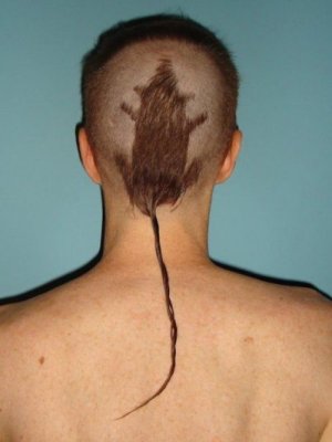rat-tail-hair.jpg