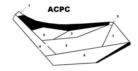 ACPC DIAGRAM.JPG