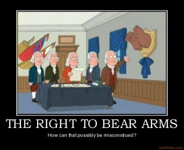 the-right-to-bear-arms-demotivational-poster-1288917337.jpg