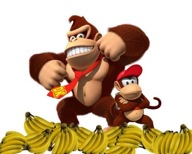 Donkey-Kong-and-Diddy-Kong-with-a-lot-of-bananas-900px-50p.jpg