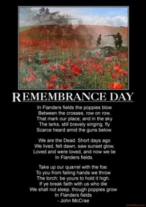 remembrance-day-remembrance-day-poppies-demotivational-poster-1289529217.jpg
