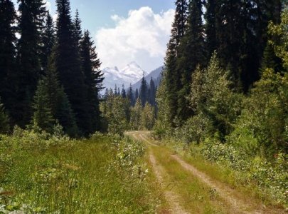 Mountain trail (640x475).jpg