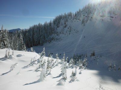 Lower Clarence Bowl.jpg